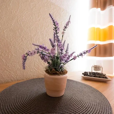 Haus Lily Nr.02 Bis Zu 6 Personen Davon Max. 2 *